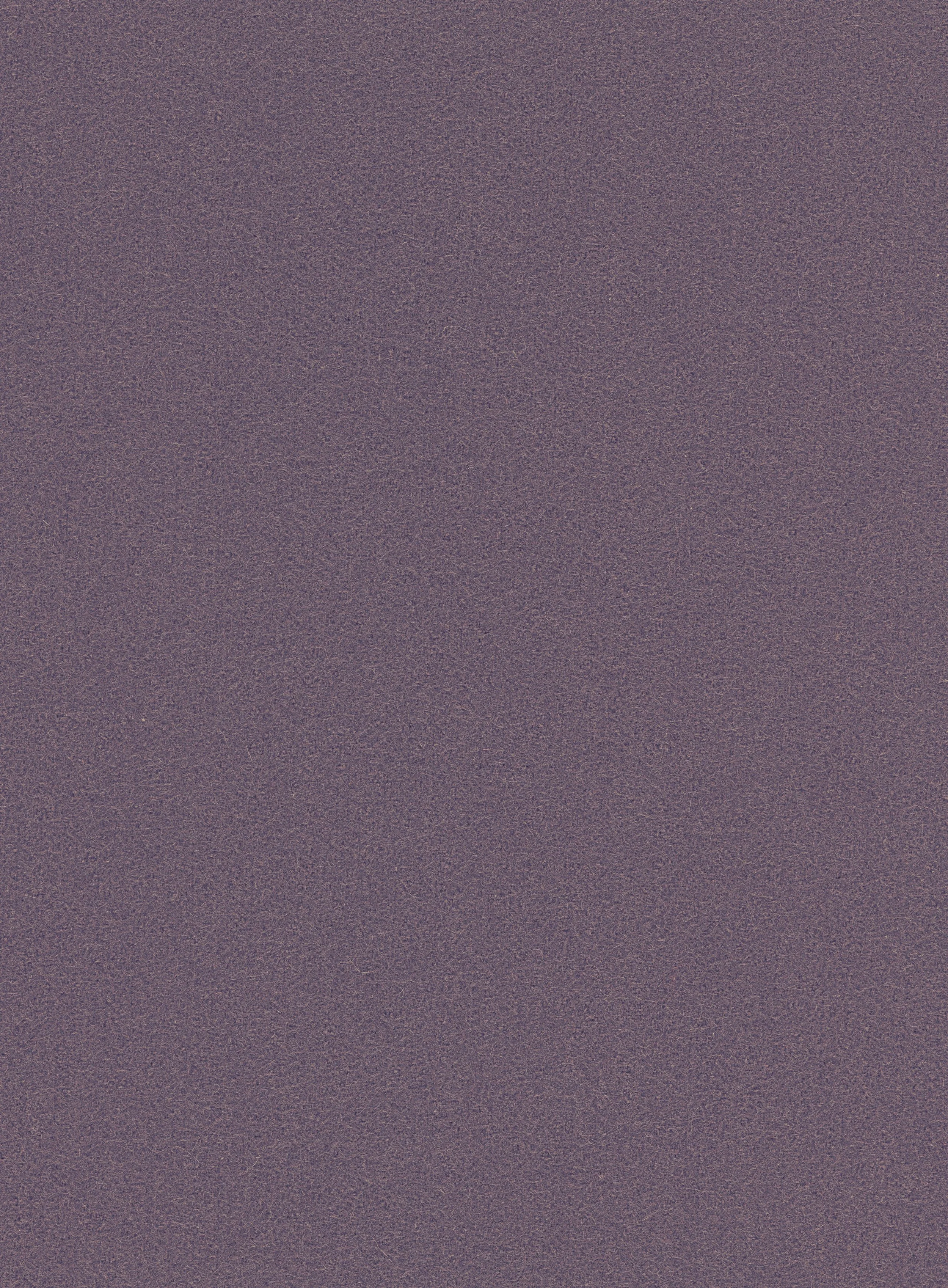 2026-07-20-0002 Lavender-CMYK.jpeg