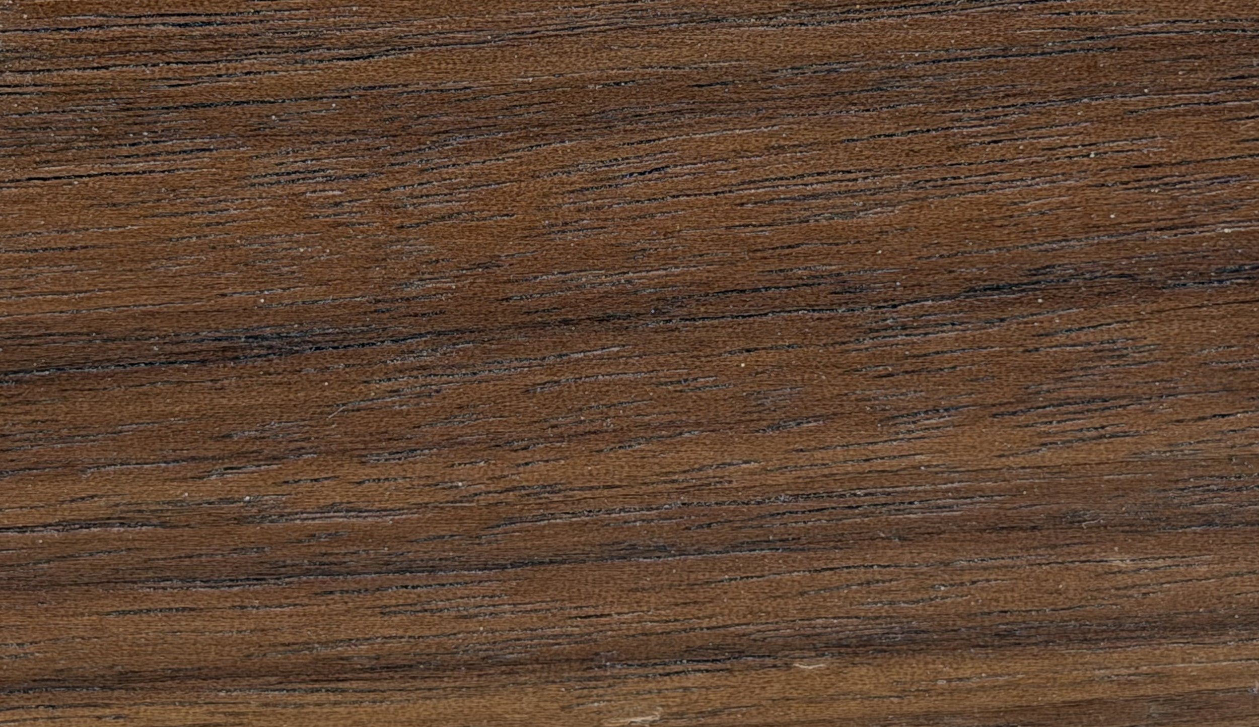 Walnut 01
