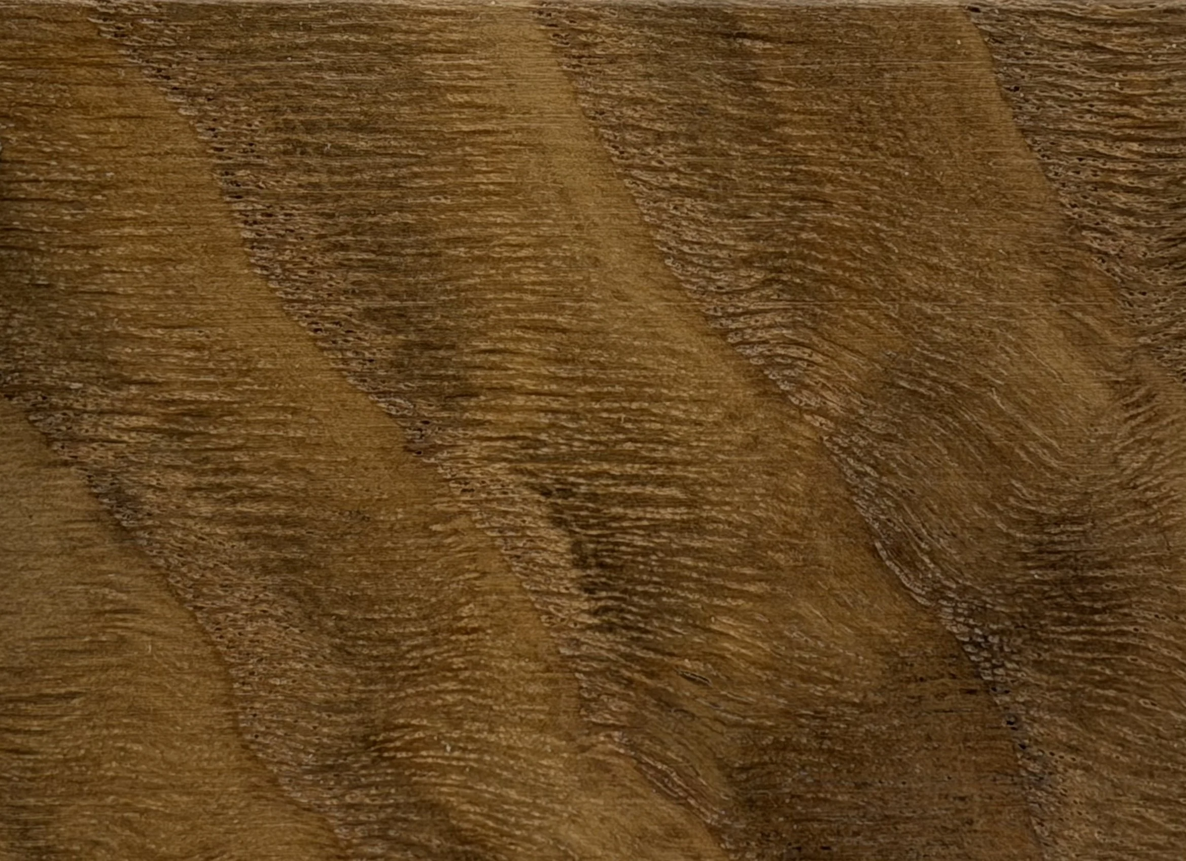 White Oak 02