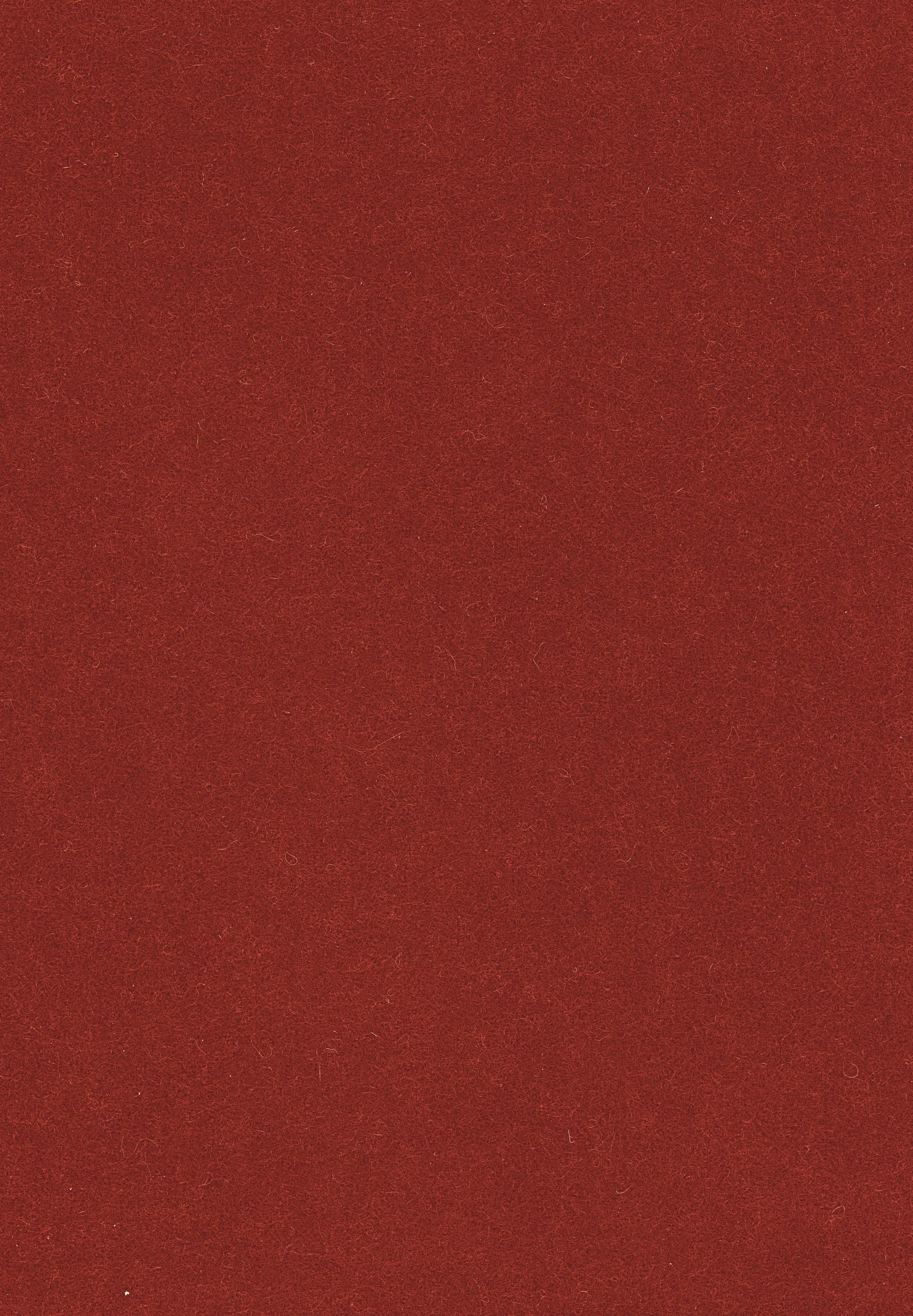 AutumnOrange_LT-CE-021.jpeg
