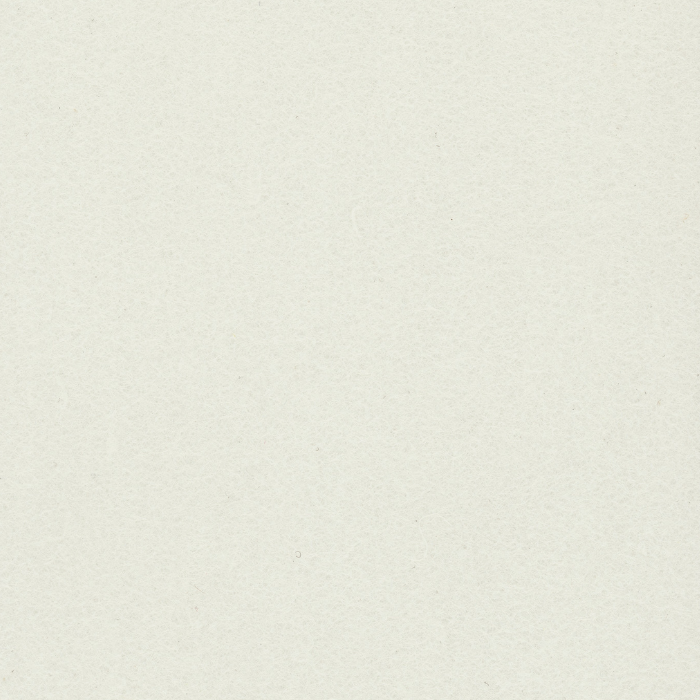 AME-07 Pearl White.png