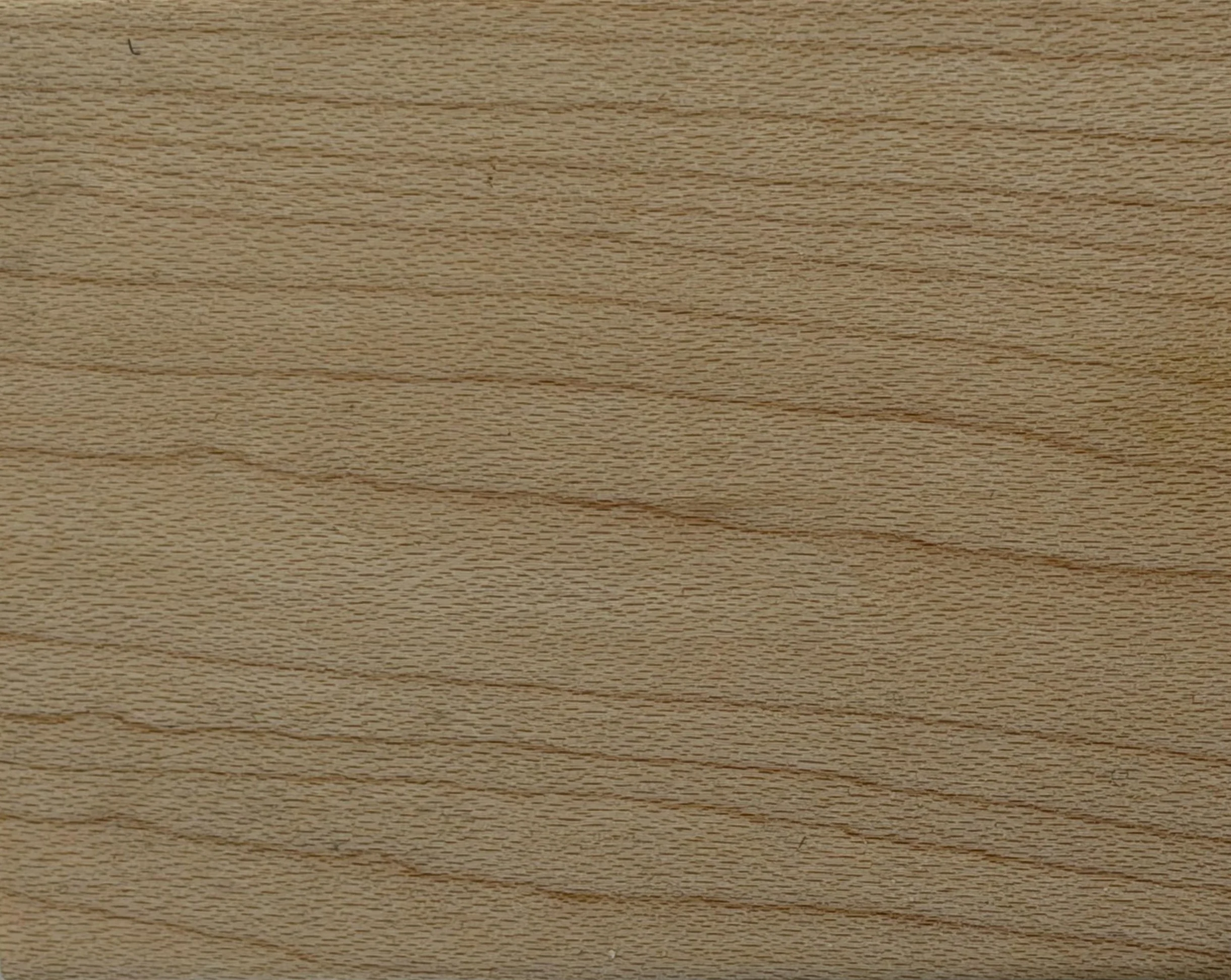 Maple 05