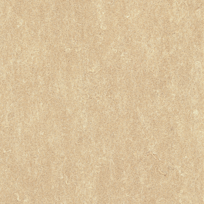 AME-06 Brown.png
