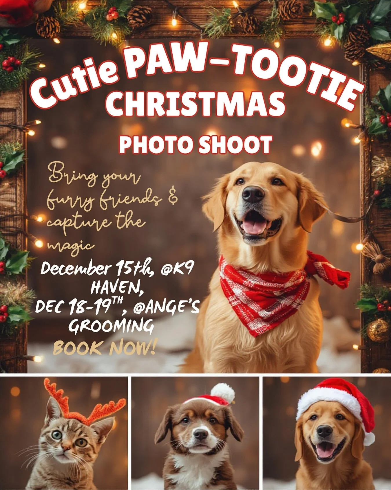 🎅🏼🎉CHRISTMAS SURPRISE!!🎉🎄 ☃️Cutie PAW-TOOTIE Christmas Pop-Up Photo Shoots! 🎄
Bring your furry friends and capture the holiday magic! Limited spots available at TWO locations:
📍 Monday, December 15th @ K9 Haven, Buena Vista
Call K9 Haven direc