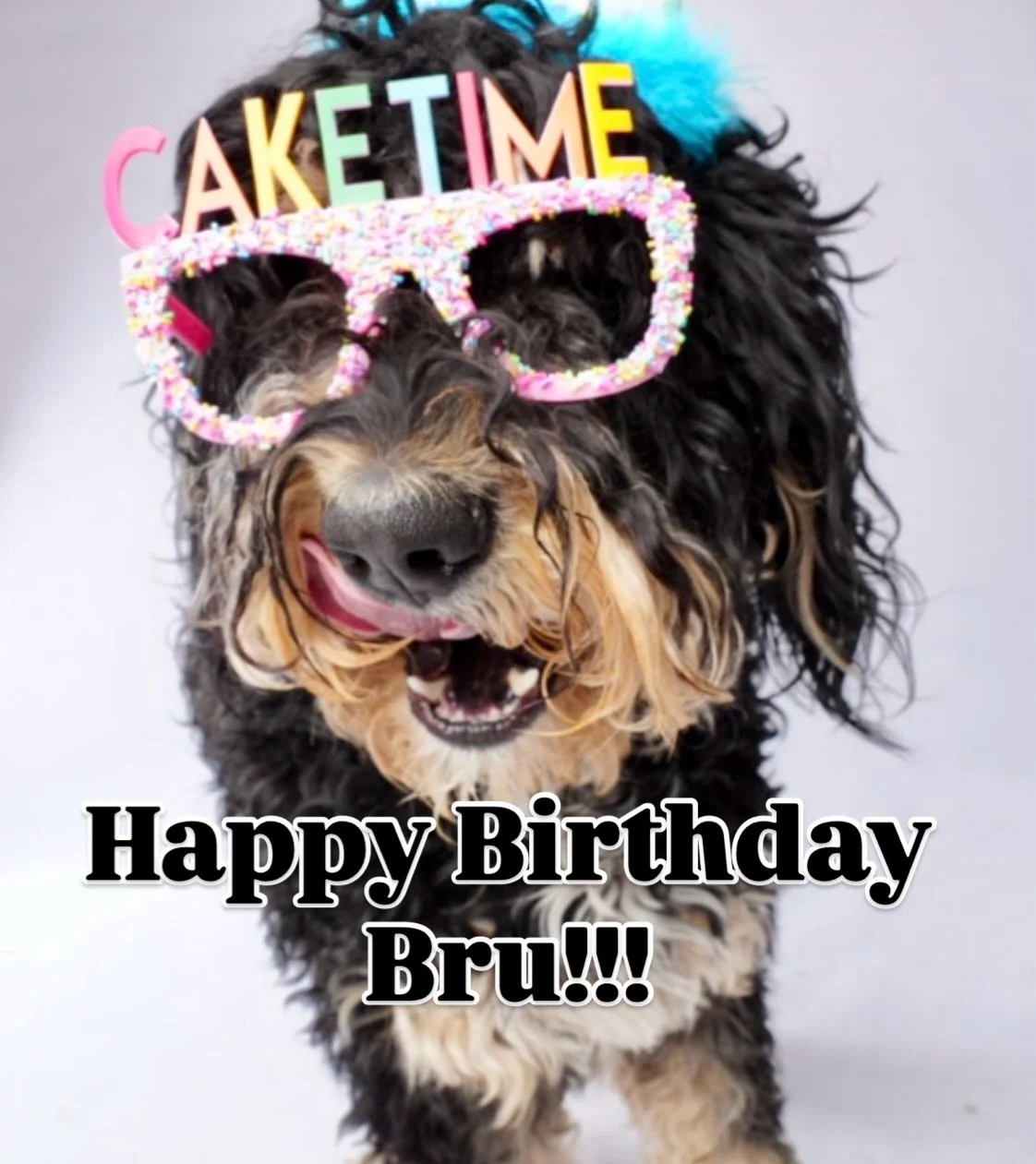 Happy 3rd birthday to my first born!! 🥹 I&rsquo;m so grateful for you and all the joy you&rsquo;ve brought into my world with your goofy sweet self. 🥰 Cheers to you Bru! 🎂 🎉 🐶