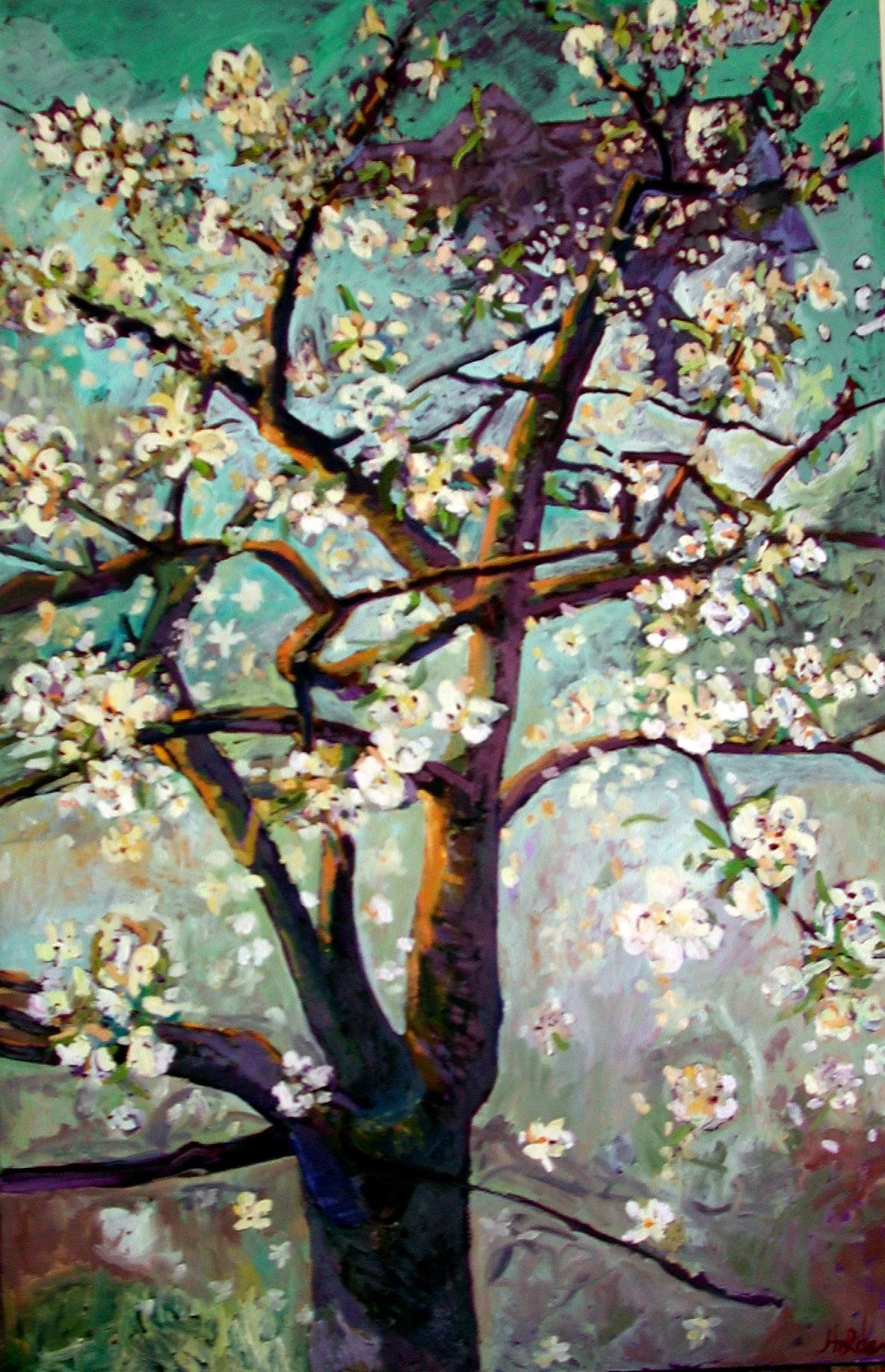 Cherry Tree.JPG