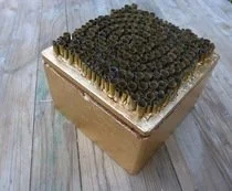 22718489.jpg