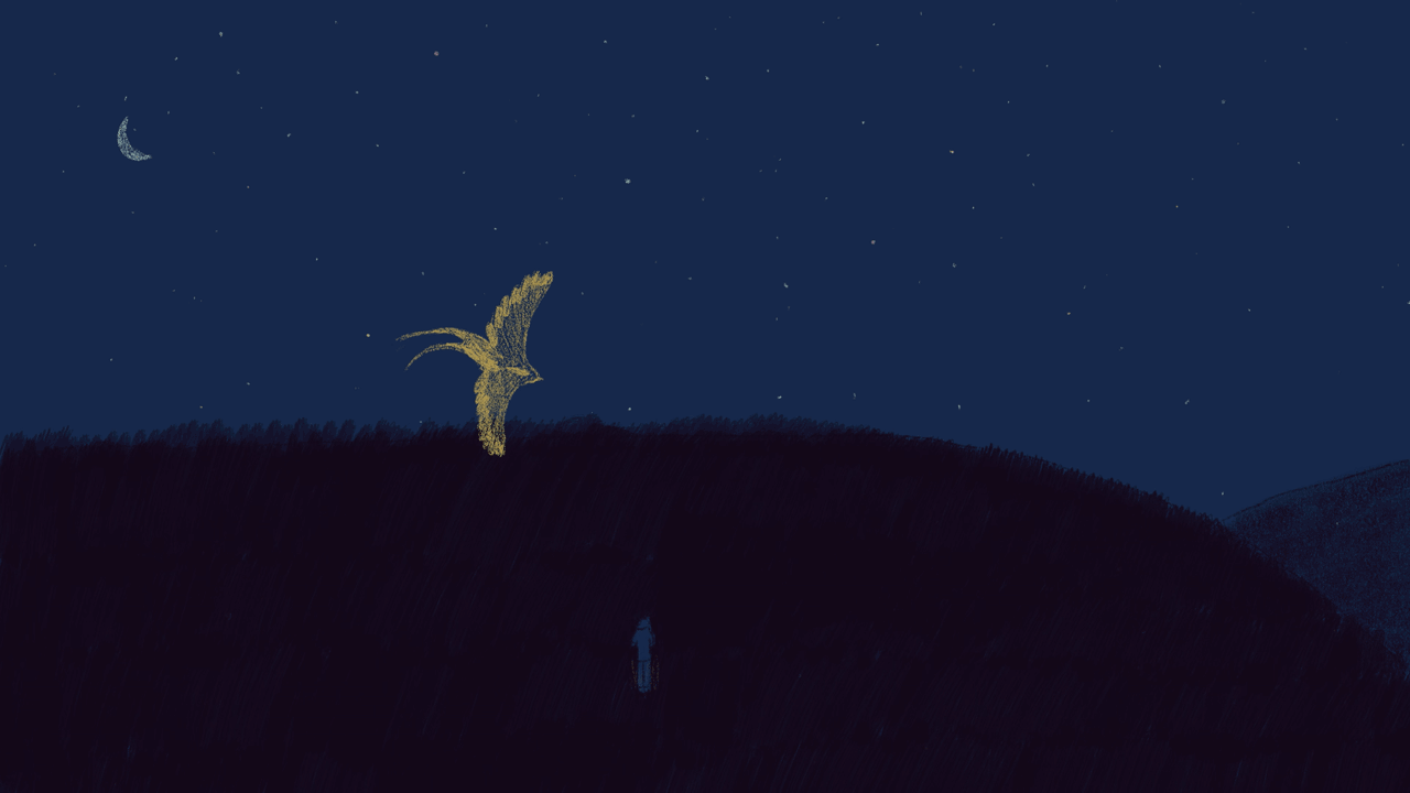 feel_bird_GIF_opt.gif