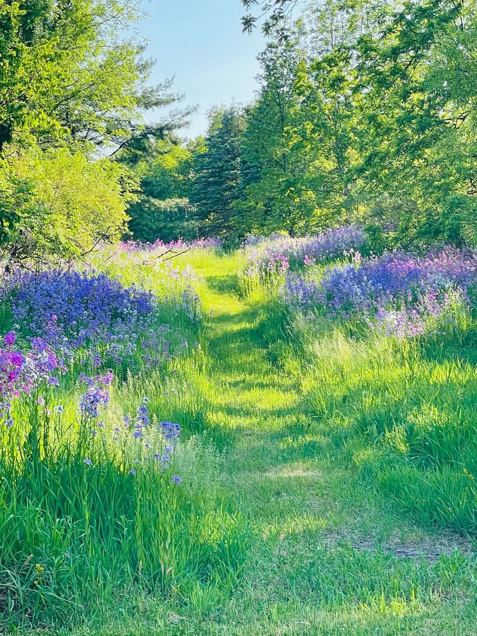 Sacred Fourth - Post-Partum Day Retreat 