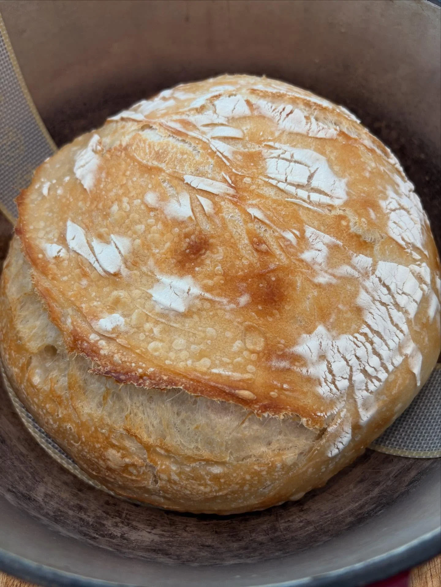 Happy Monday, Darlings 💙

#bread #homemadebread #sourdoughbread #baker #chef #homechef #catering #wakeforest #wakeforestnc #personalchef #chef #cheflife #privatechef