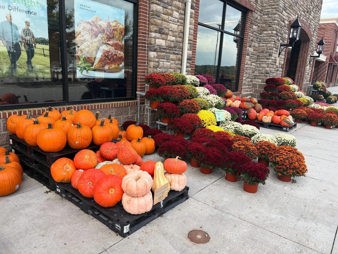 October is here 🎃 🍁 🍂 🧹 🦉 
#witch #witchywoman #fall #october #cozy #pumpkins #halloween #sweaterweather #soupseason
