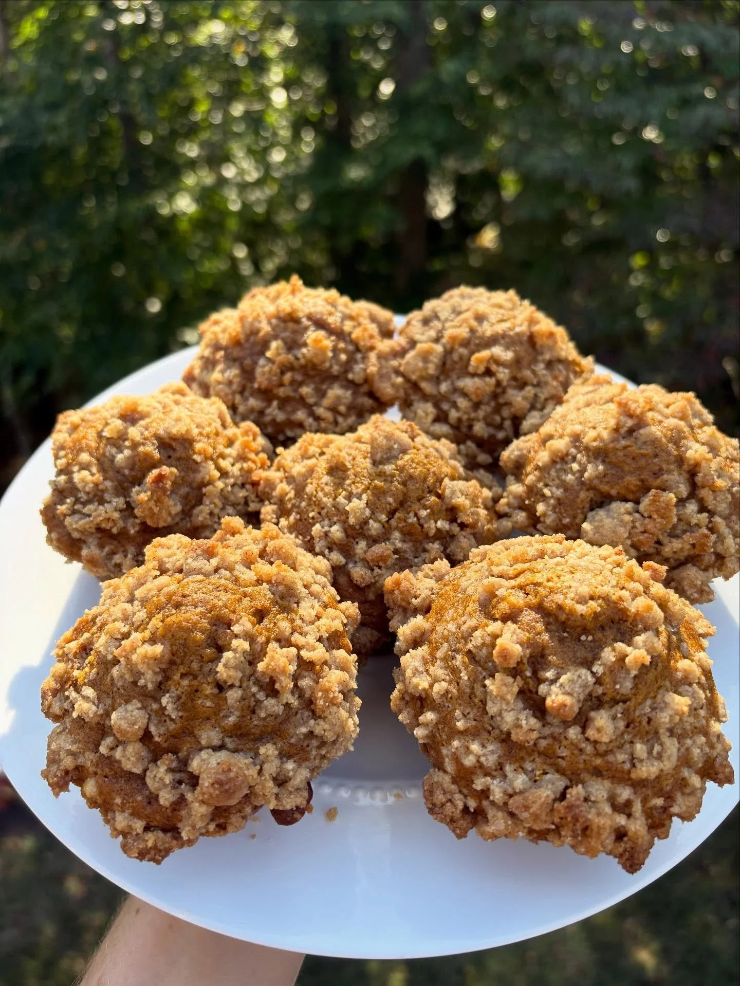 Darlington will be on hiatus for 3 weeks while we are out of town. Thank you to all of our Darling customers for supporting our small business!  We will be back Oct 27th with new eats and we look forward to feeding you then ❤️&zwj;🔥