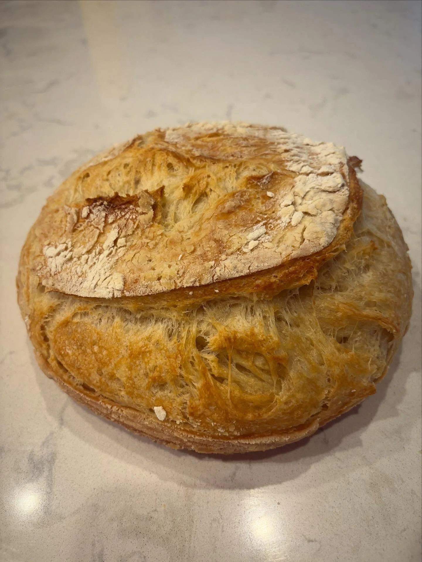 Branching out from standard sourdough bread with a little croissant loaf 🥐 #baking #homemade #homebaker #yum #bread #breadbaking #sourdough #croissant
