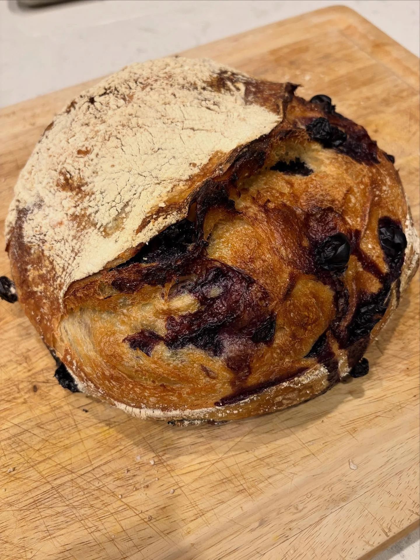 I&rsquo;m on a sourdough kick!  This little beauty is blueberry lemon! 🫐 🍋 💗 #baker #sourdough #bread #homemade #sourdoughbread
