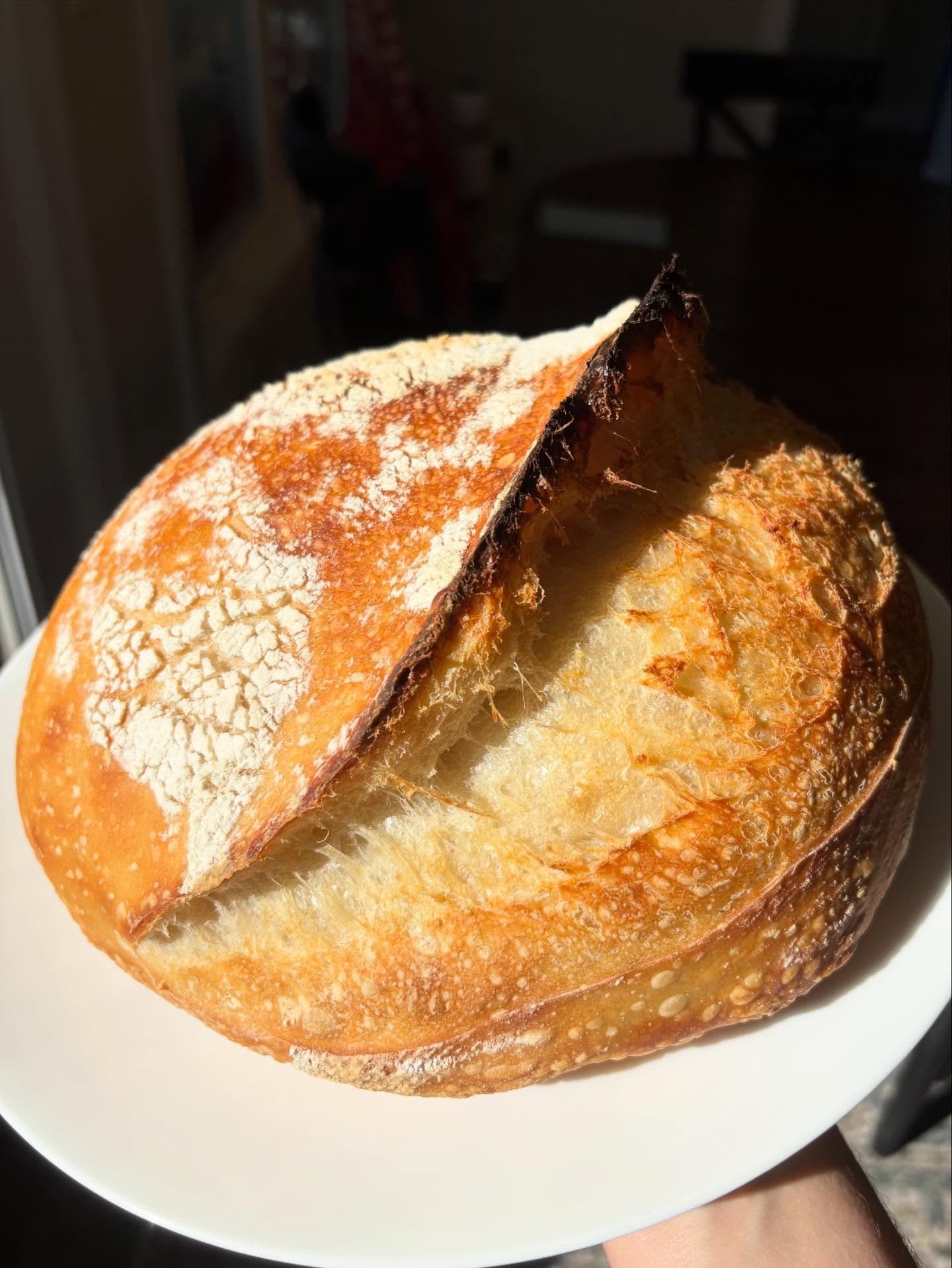 She&rsquo;s a real beaut, Clark! 
#baking #bread #sourdough #bakers #baker #caterer #catering #yum