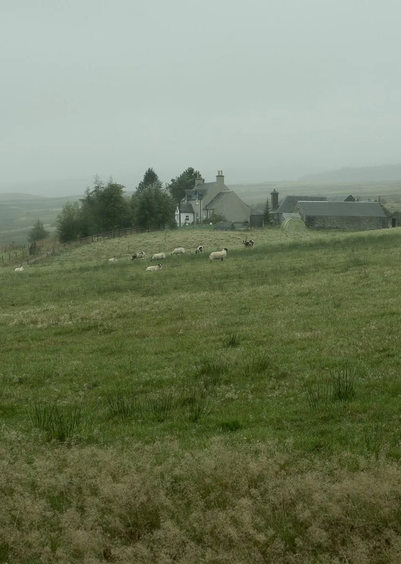 A rural landscape with sheep grazing on a green hillside, paired with a farmhouse, trees, and some other buildings under a hazy sky.