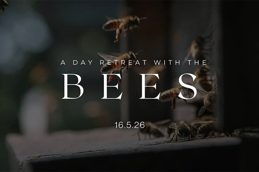 A day retreat with the bees&nbsp;🐝