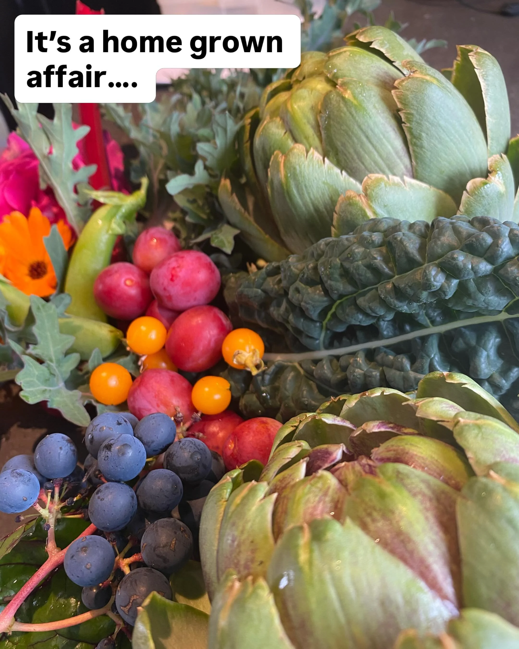 🫜🫑🥒🥦🥬We use as much seasonal home grown produce as possible with every snack, lunch, brunch or tea we serve on the farm 🍏🍎🍇🍓🥬🥦🫛🥒🥕🥚 whether you chose to have Morningside Farmhouse food or get a caterer to help you out, we can help, even