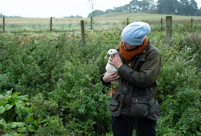 Person wearing a blue knit cap, brown scarf, and dark jacket holding a white duck in a green field.