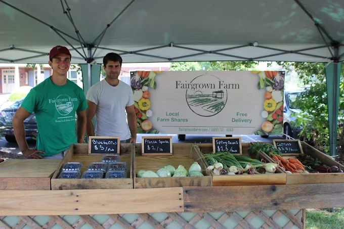 Two men working at a farm stand under a canopy, with fresh vegetables including blueberries, fennel, and carrots on display, and a sign reading 'Fairgrown Farm'.