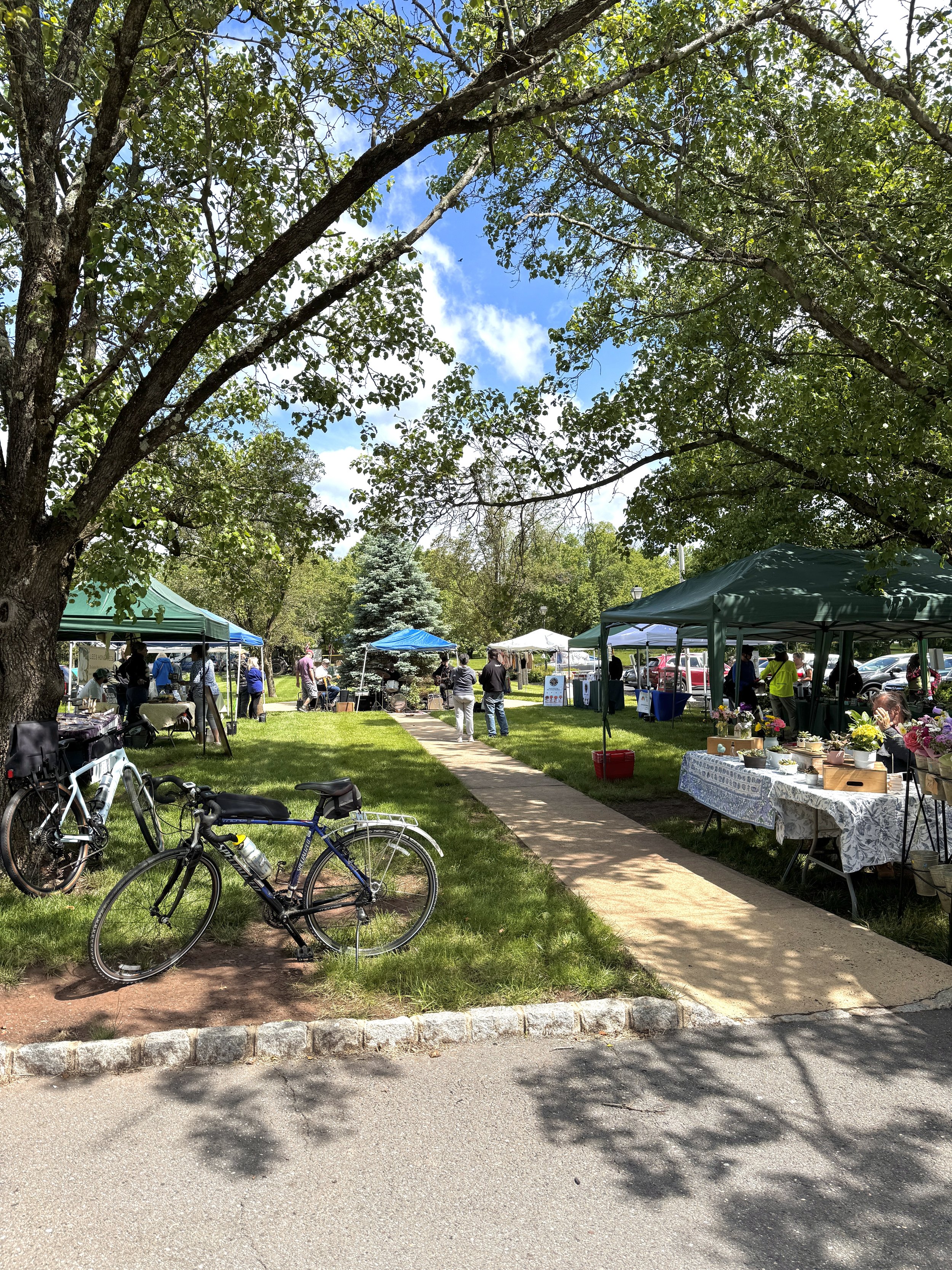 An outdoor market or fair with vendor tents, people browsing, and bicycles parked on the grassy area next to a sidewalk. Large trees with green leaves provide shade, and there are various tables and displays, including one with potted flowers.