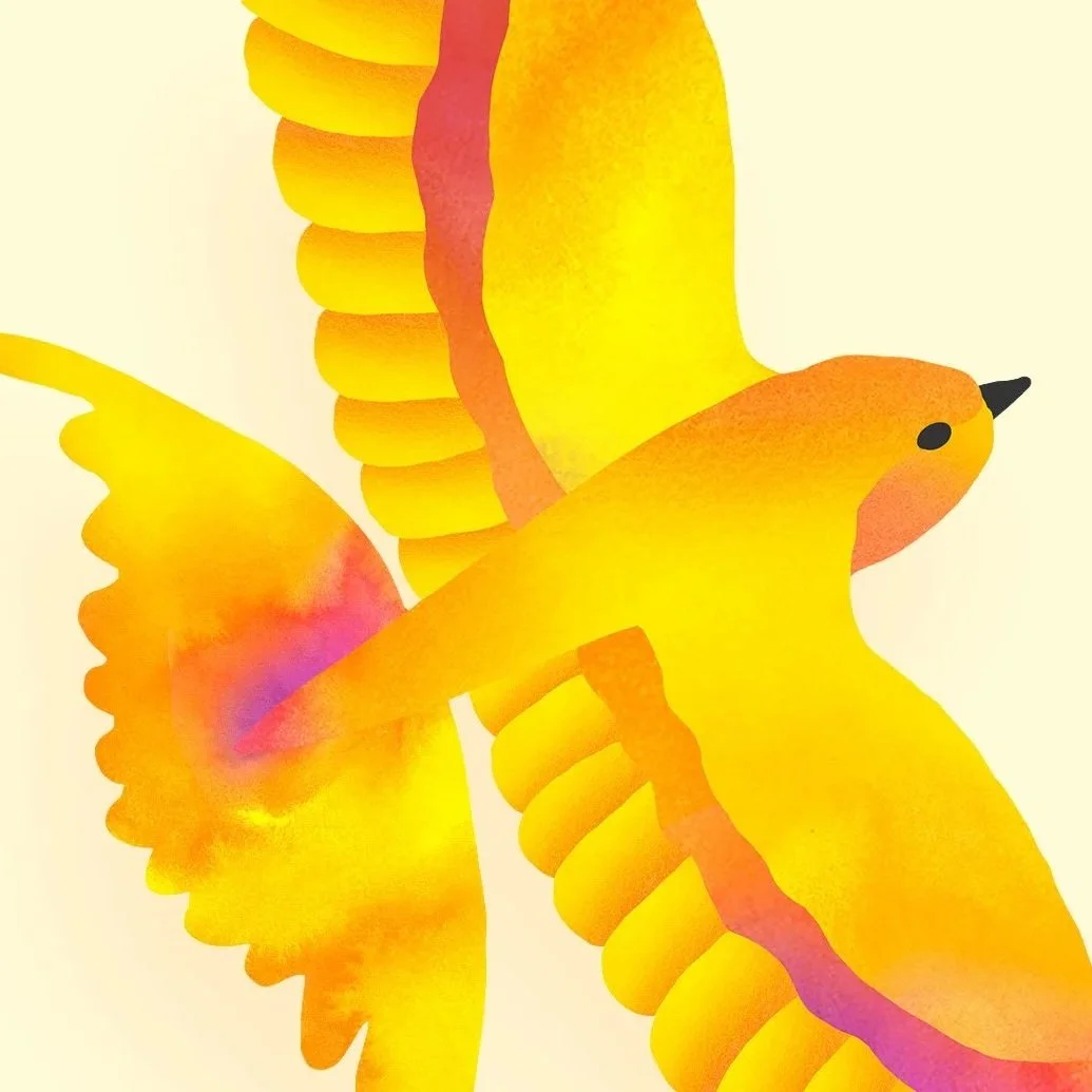 Coop-Bird.jpg