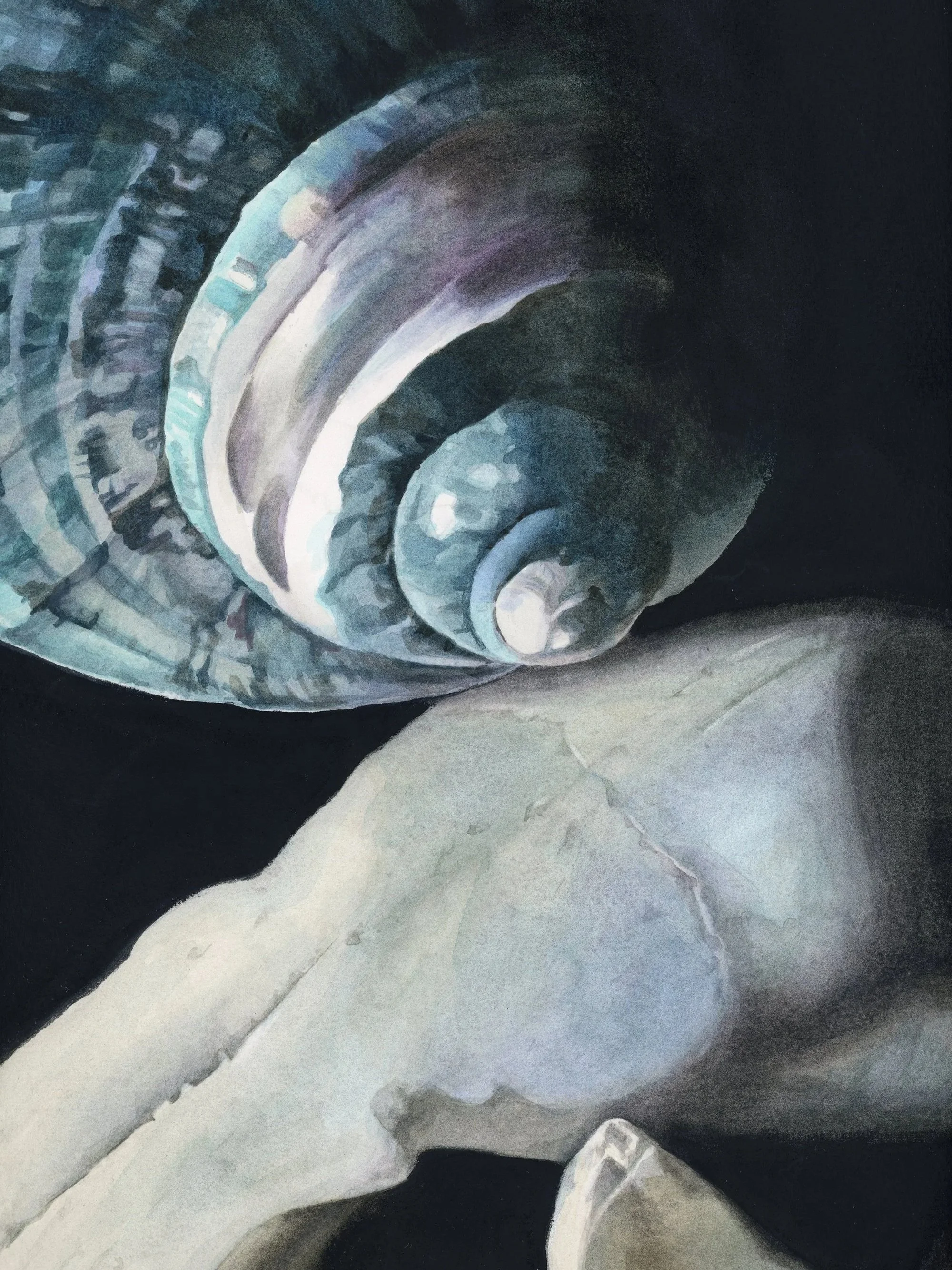 Detail of Penumbra I, showing layered blue, green and violet watercolor on the surface of a large seashell.