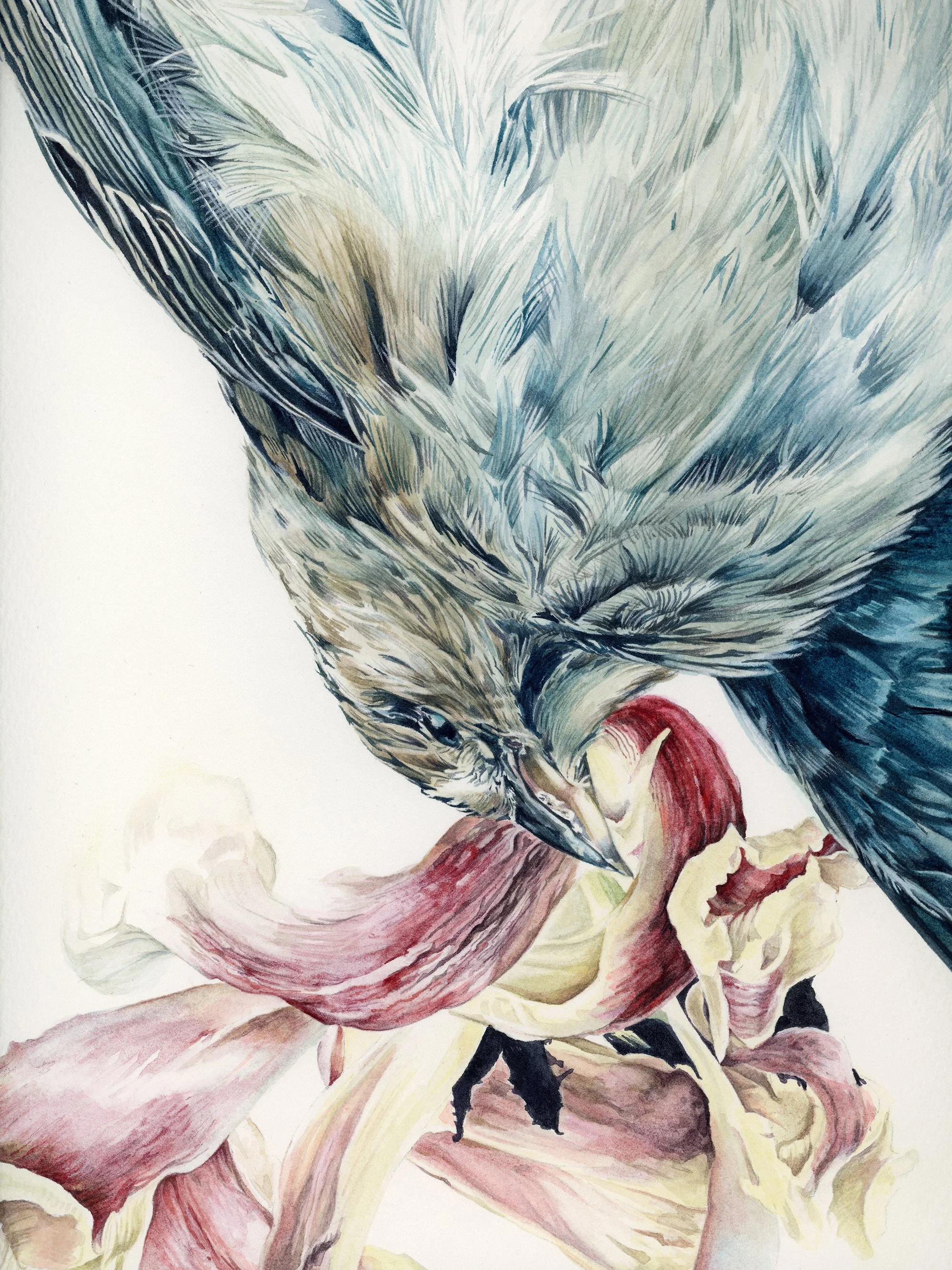 Detail of Melancholia II, showing the layered watercolor rendering of feathers, flowers and translucent botanical forms.
