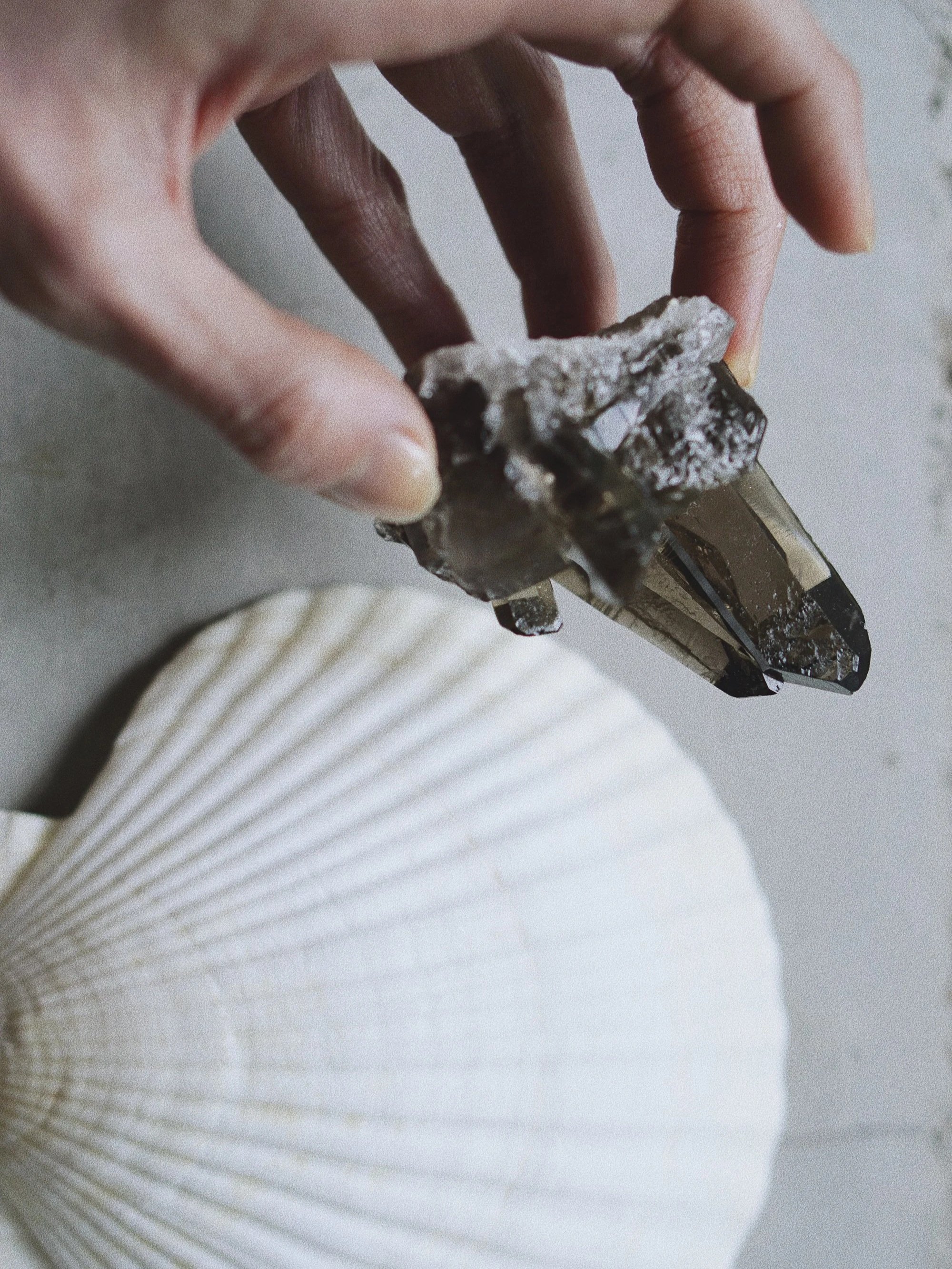 Antonia Montealegre, fragments of inspiration.