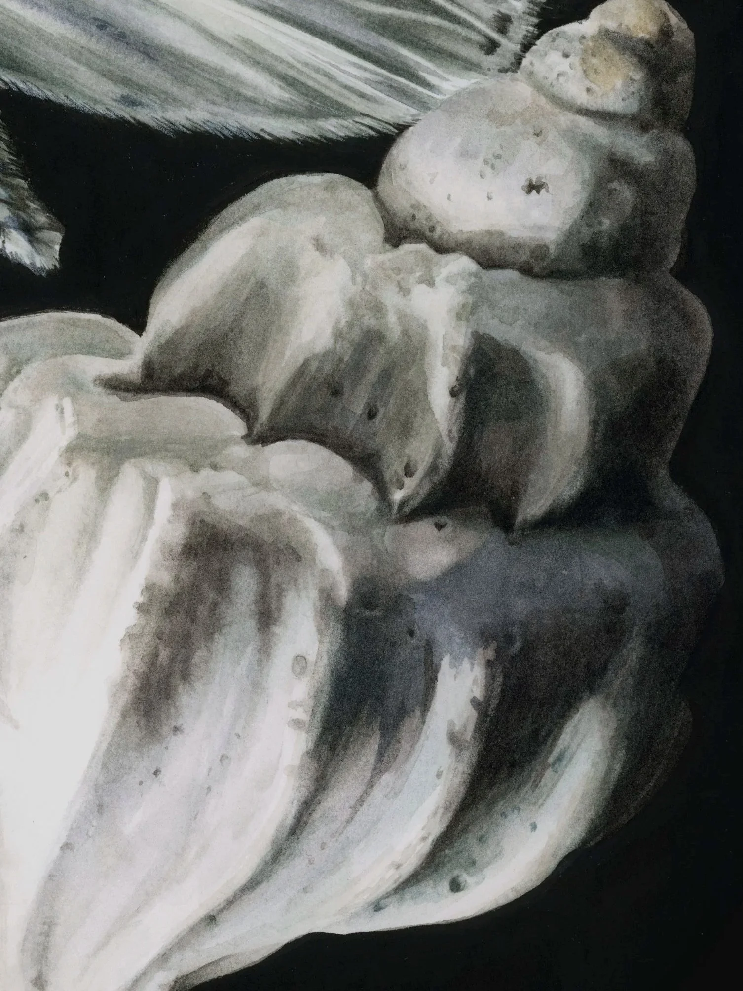 Detail of Vestigios — Blanco sobre Negro, showing pale bone and butterfly forms emerging from the black painted ground.