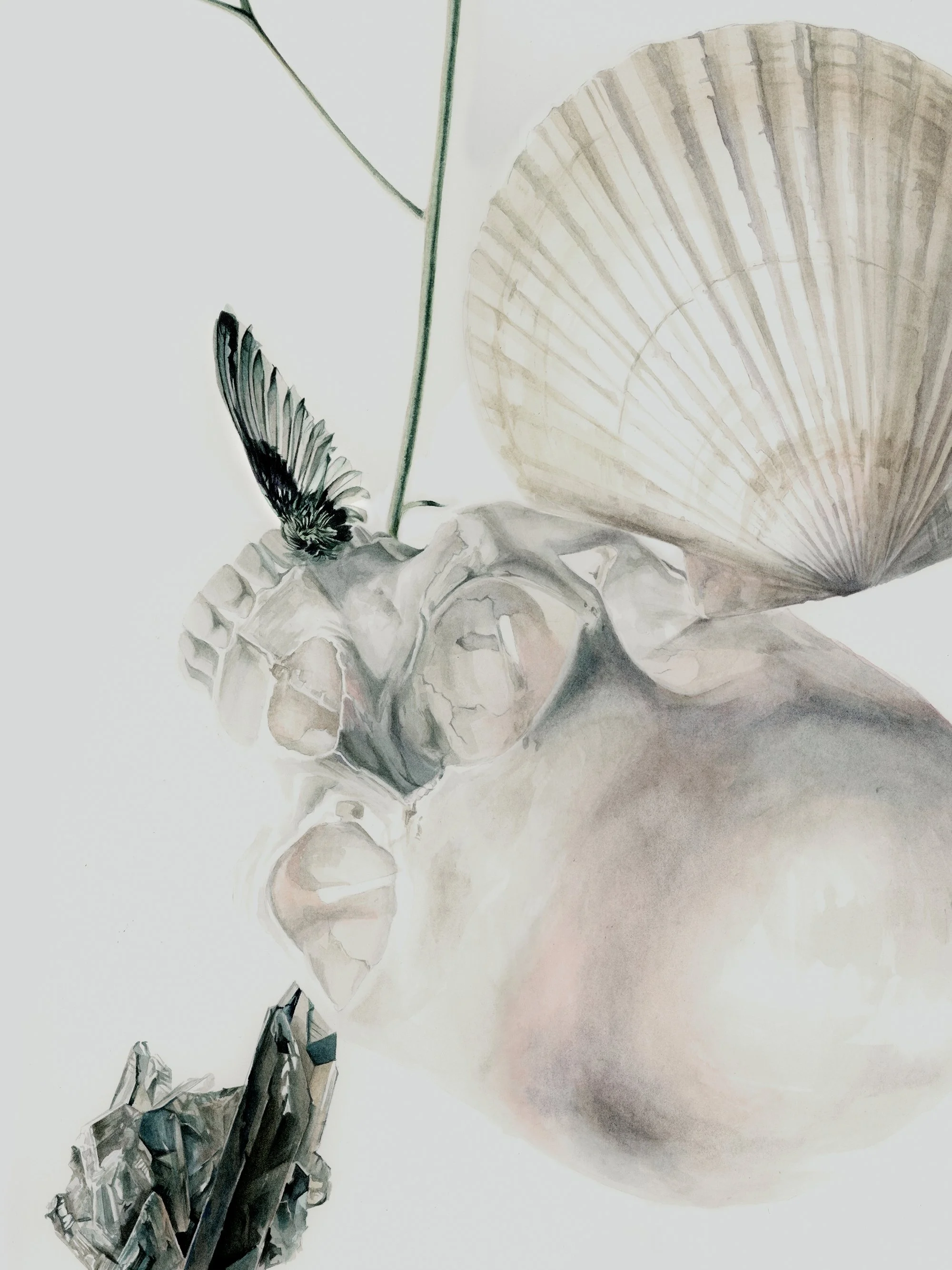 Detail of Melancholia I, showing translucent watercolor layers across the skull, shell and organic fragments.
