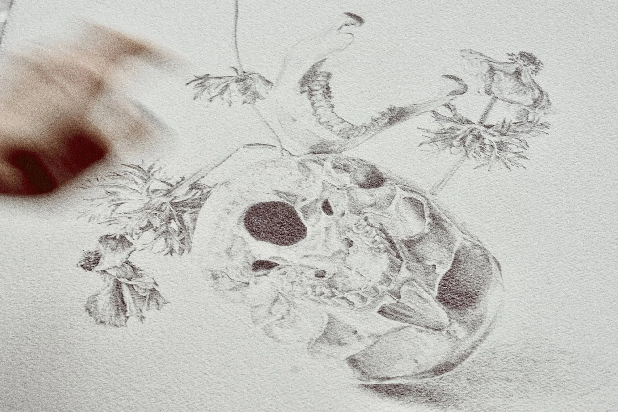 studies & variations