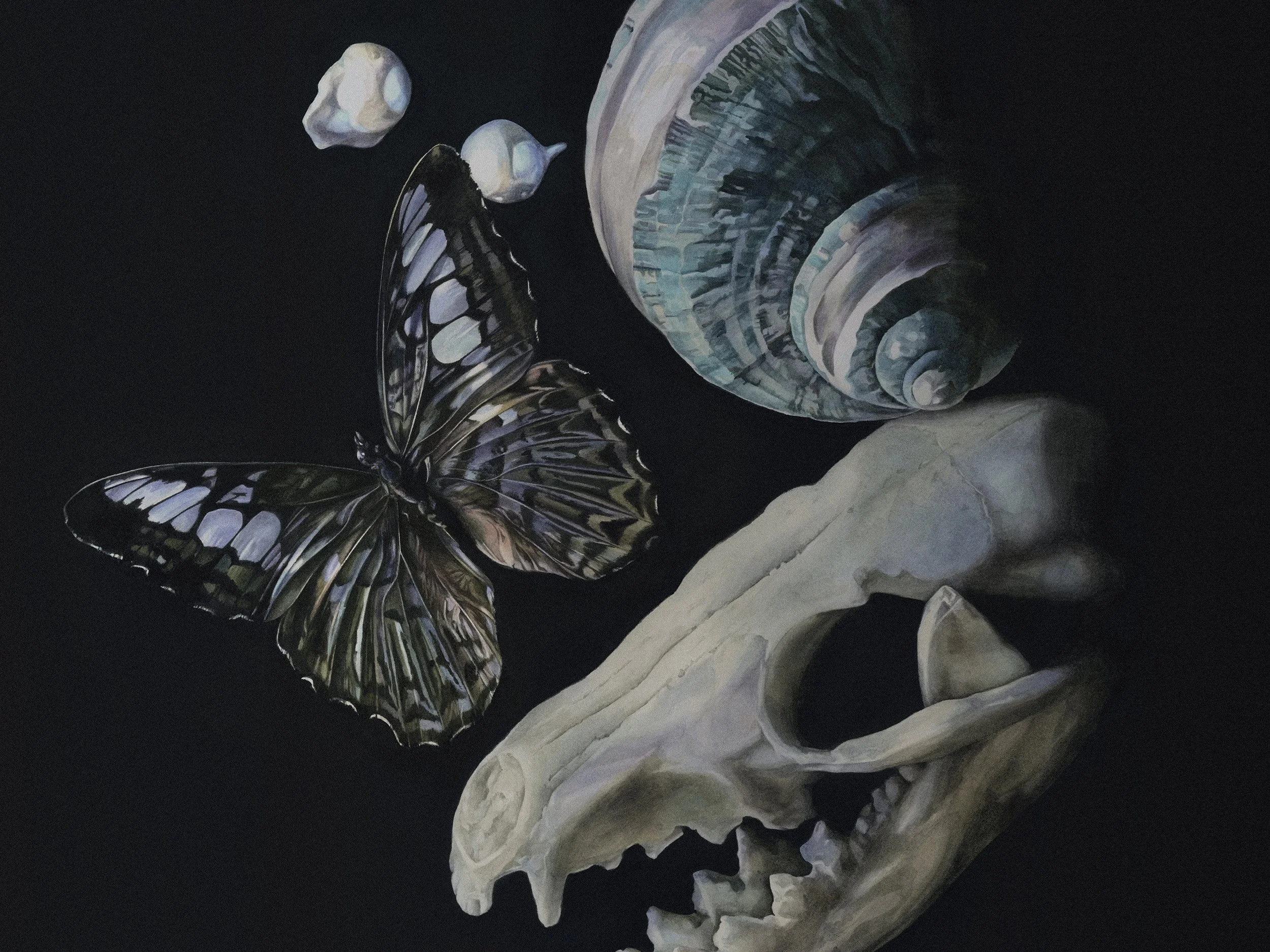 penumbra