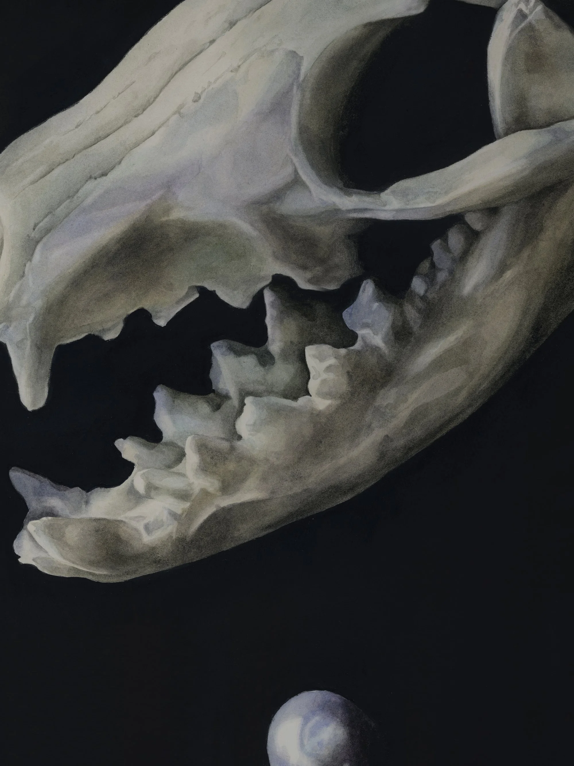 Detail of Penumbra, watercolor and acrylic by Antonia Montealegre.