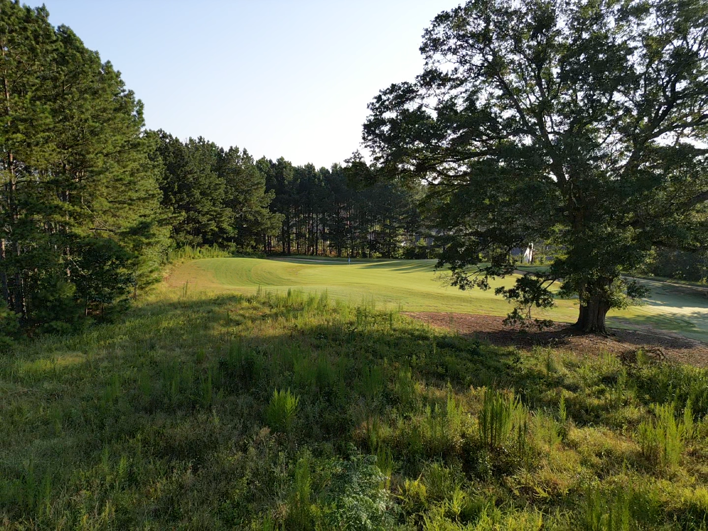 A golf course fairway with a small flag, surrounded by trees and tall grass, under a clear blue sky.