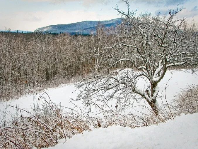 My Hope for the New Year