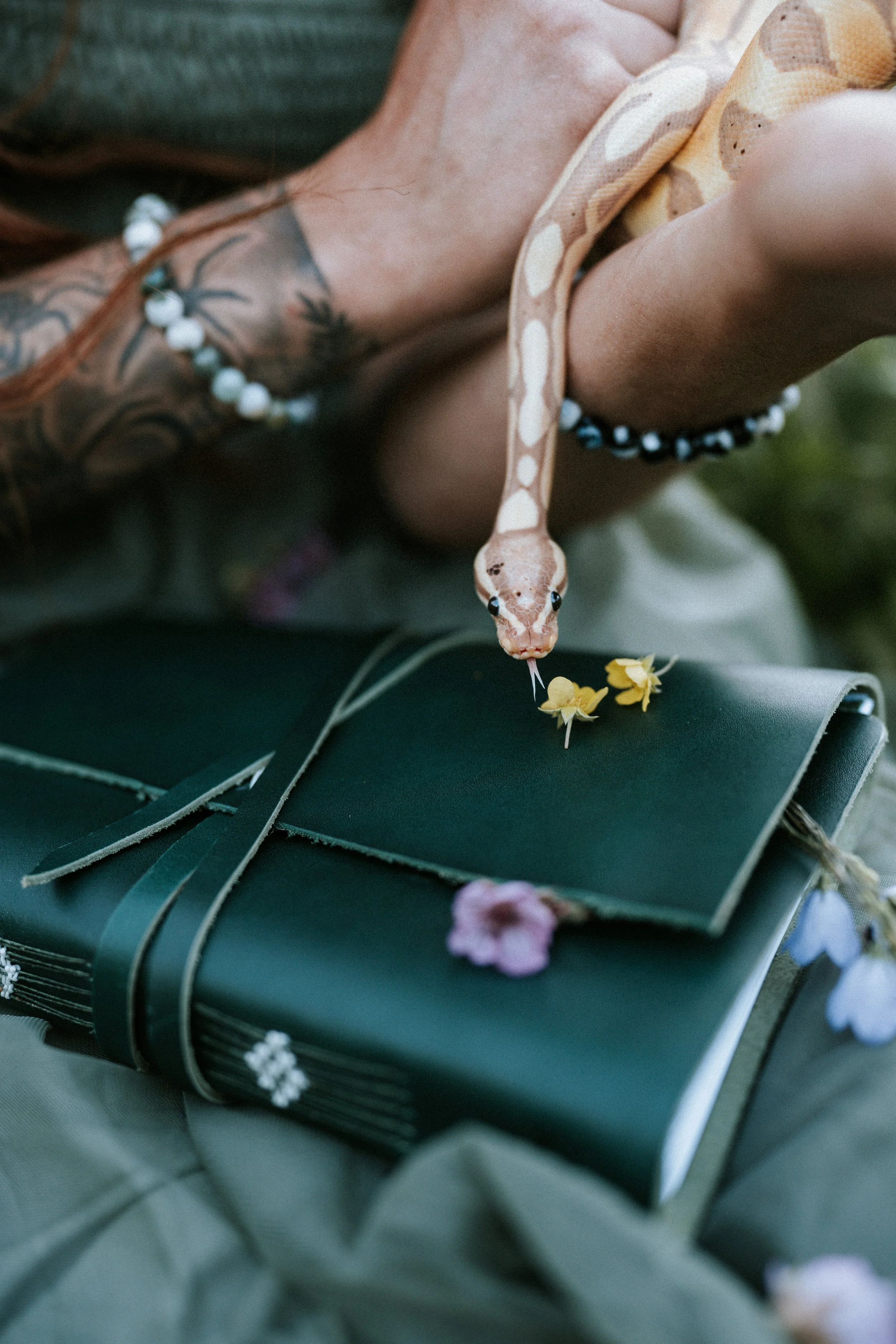 A person with a tattoo on their arm holding a snake with cream and brown pattern, near a green notebook with flowers on it.