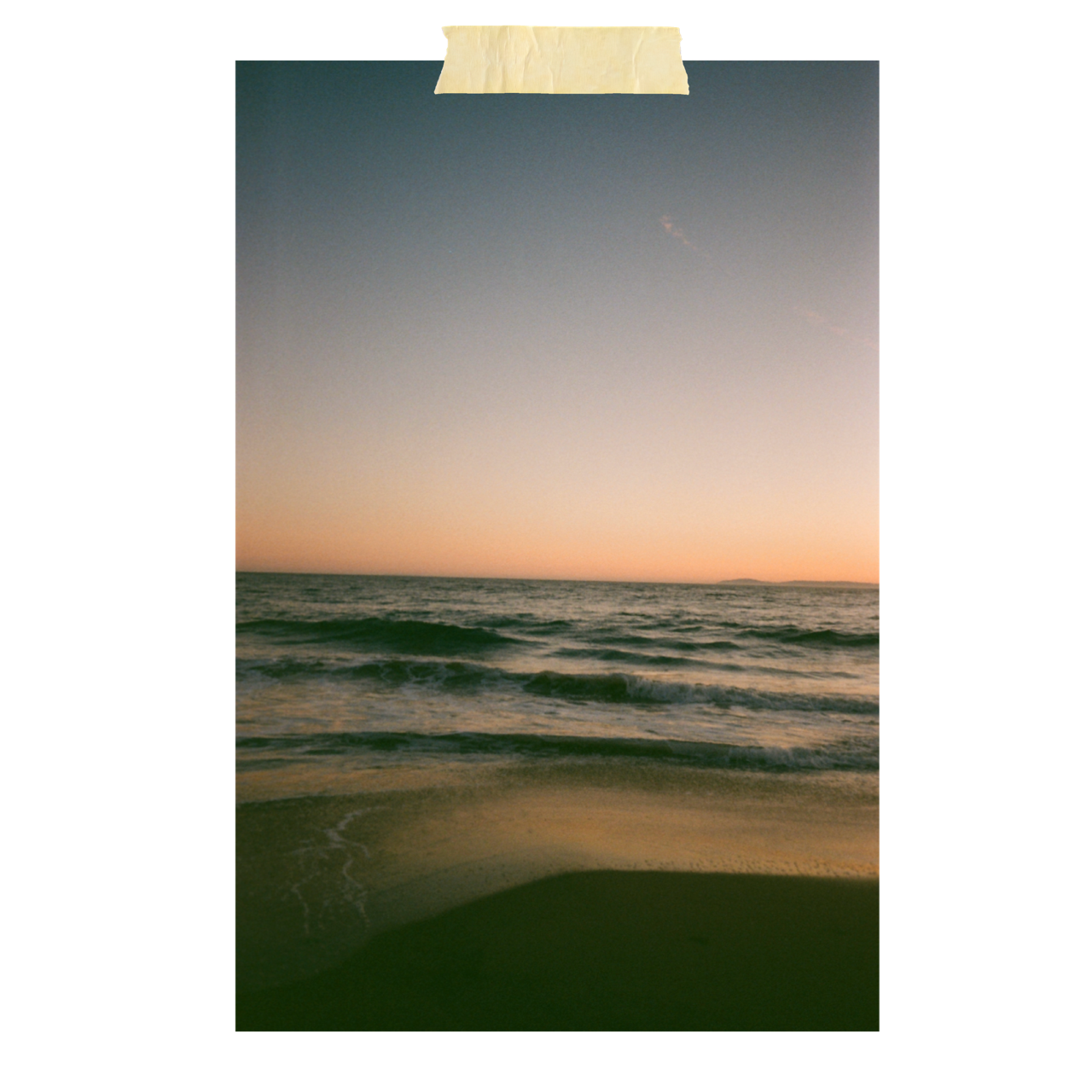 Untitled_Artwork (56).png
