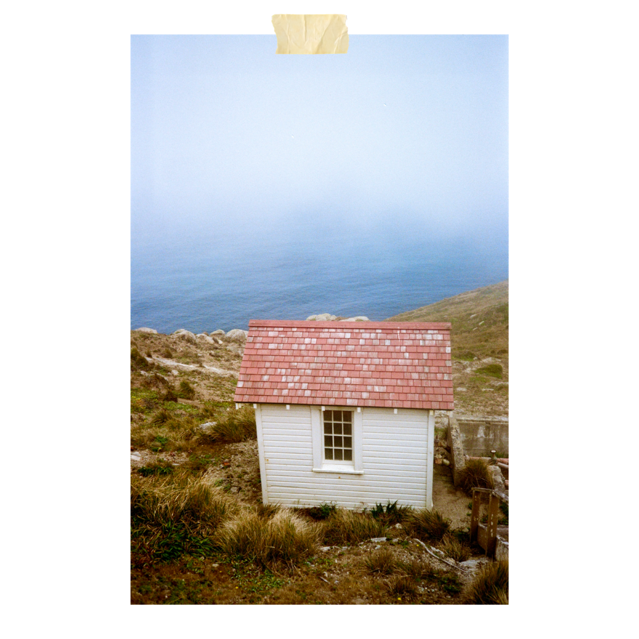 Untitled_Artwork (60).png