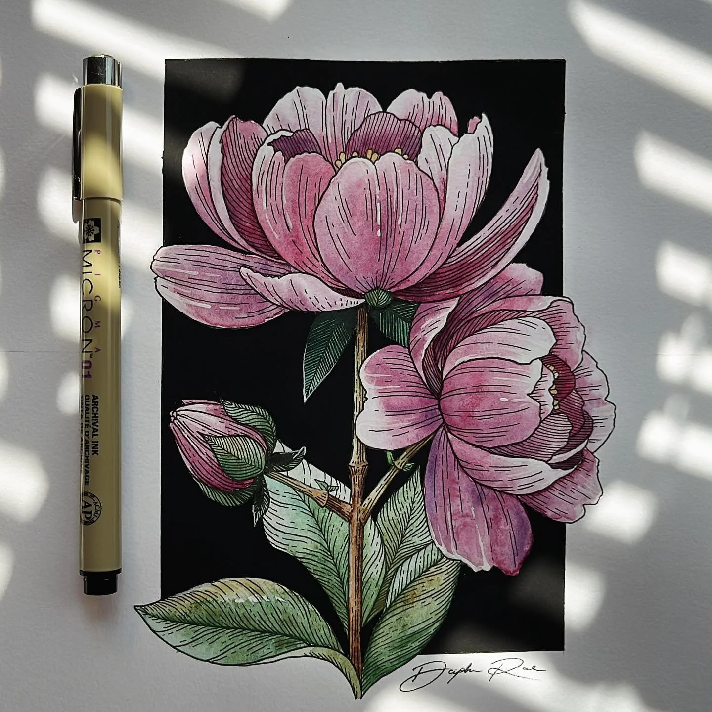 Here&rsquo;s a glimpse at my sketchbook AND an exciting update: I&rsquo;m sending out my first monthly newsletter next Monday, August 4th! 

Interested in receiving my newsletters? I&rsquo;ll only send one email per month and you&rsquo;ll receive all