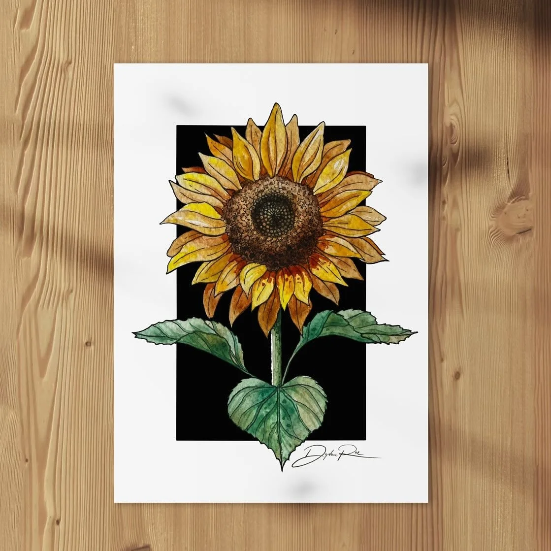 The latest collection of my ink and watercolor illustrations are being added to my website today! 

As I said in this month&rsquo;s newsletter, &ldquo;When I&rsquo;m feeling
&ldquo;canvas shy&rdquo; and uninspired for a large painting, making some sm