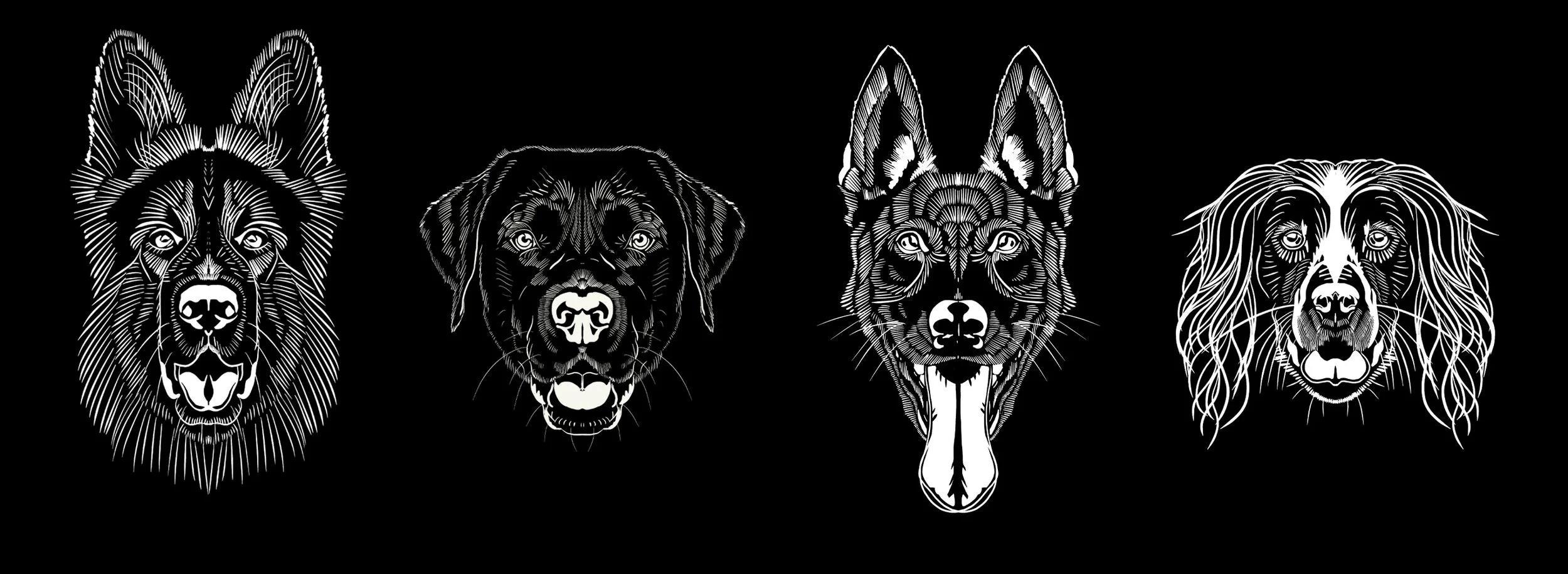 Hero Paws Dogs.jpg