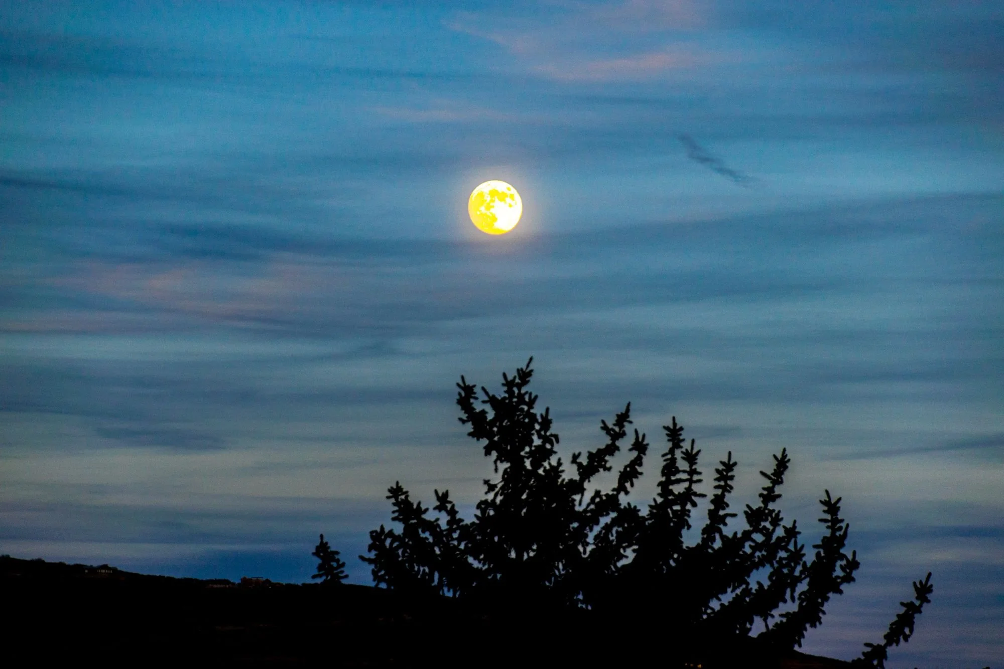 Satin Radiant  4025002