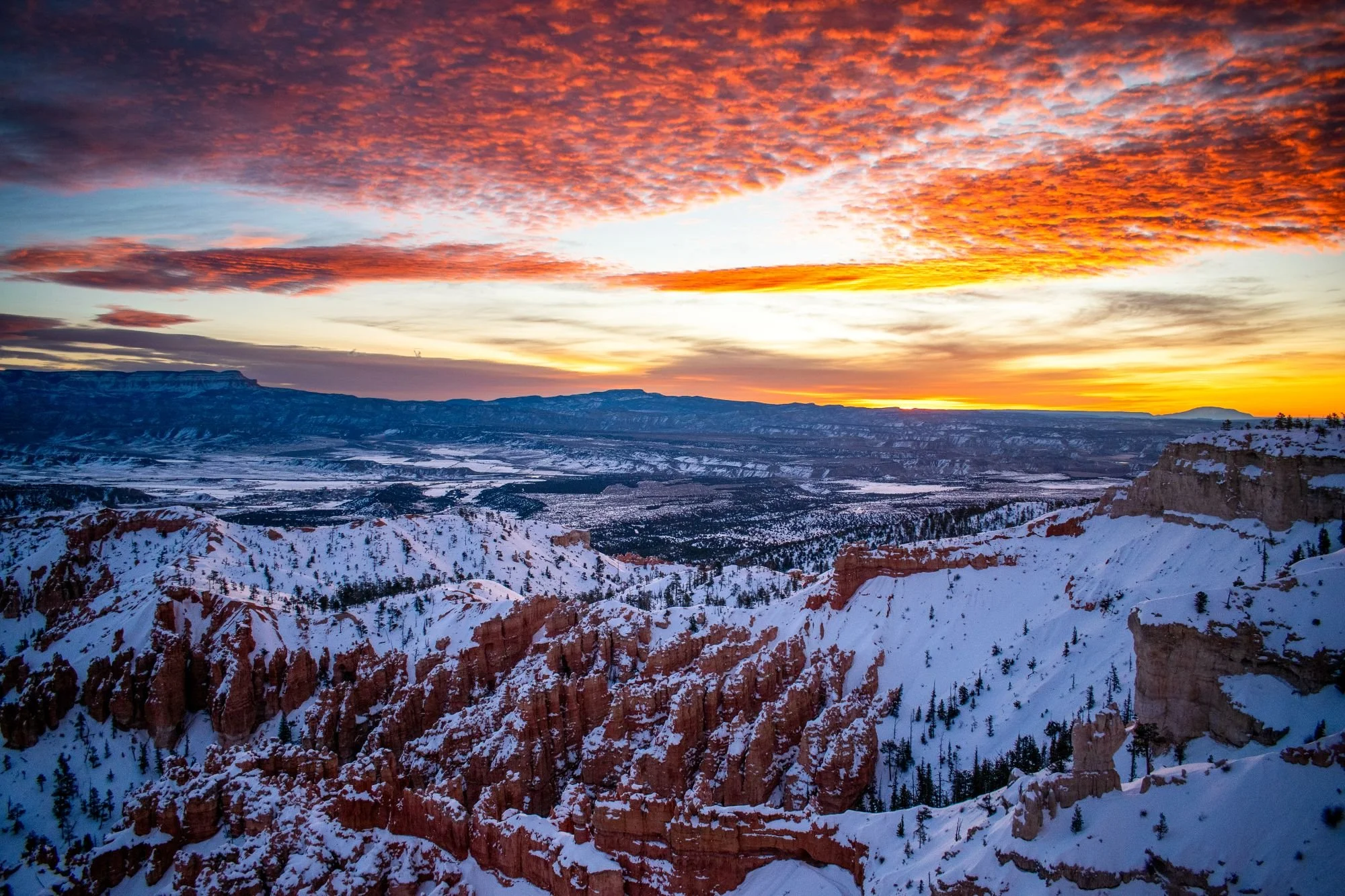 Morning splendor  2025001