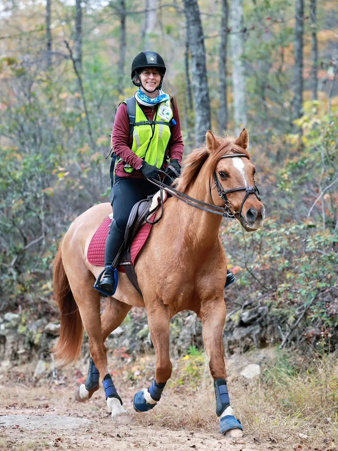 Celebrating one year of Masterson Method&reg;️ partnership with this guy &amp; just look how far Teddy has come! Going from sessions of just being able to tolerate a few techniques for months&mdash;to getting a whole body session every 3weeks &mdash;