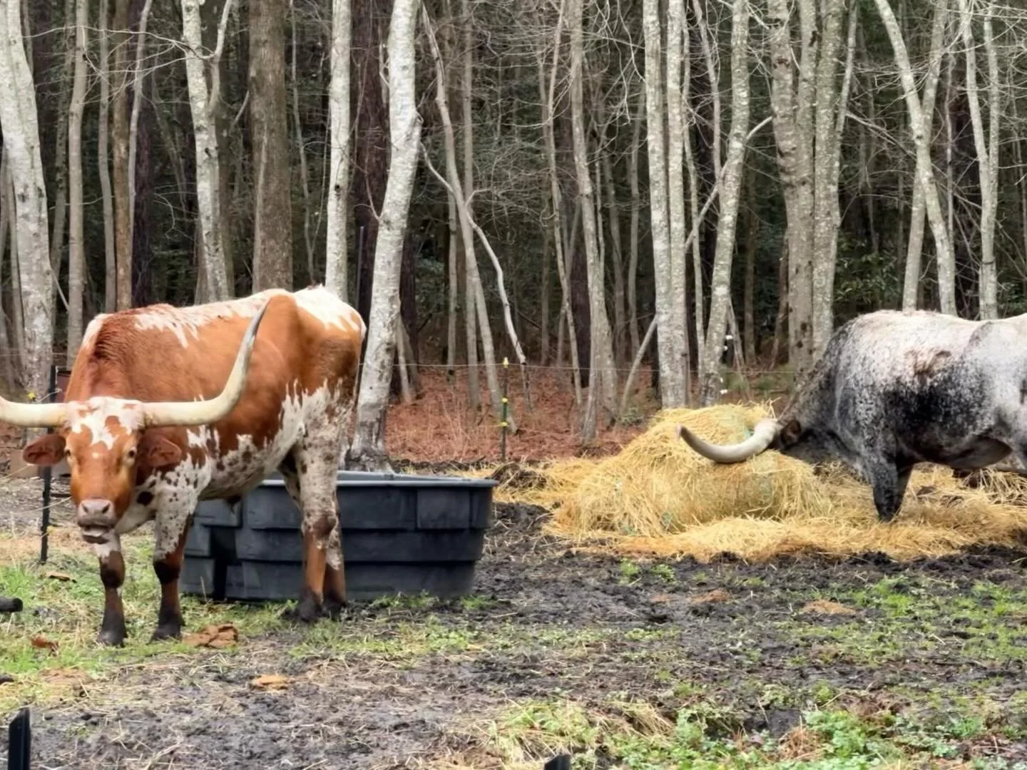 Livin their best lives 👏🏼