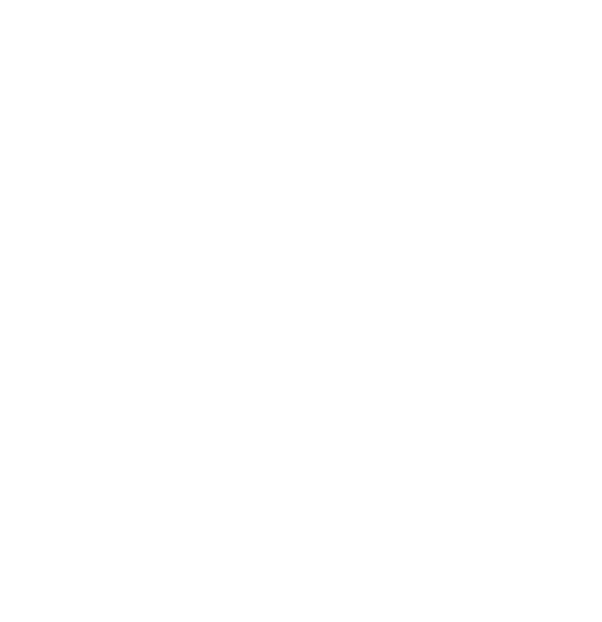 Cloudveil Equine Bodywork logo in white