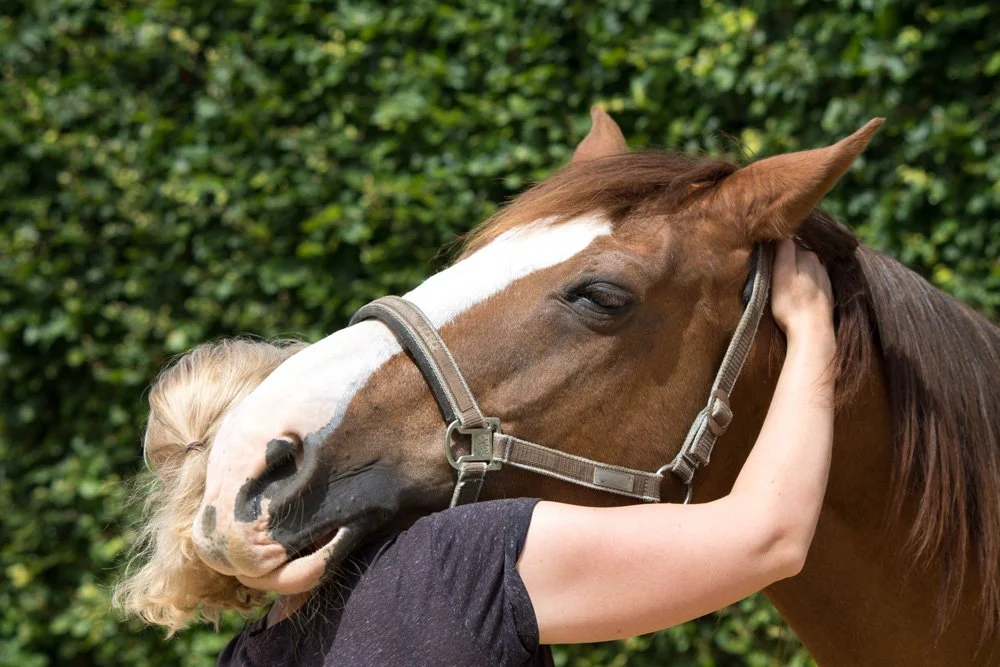 Person hugging a brown and white horse outdoors with greenery in the background.