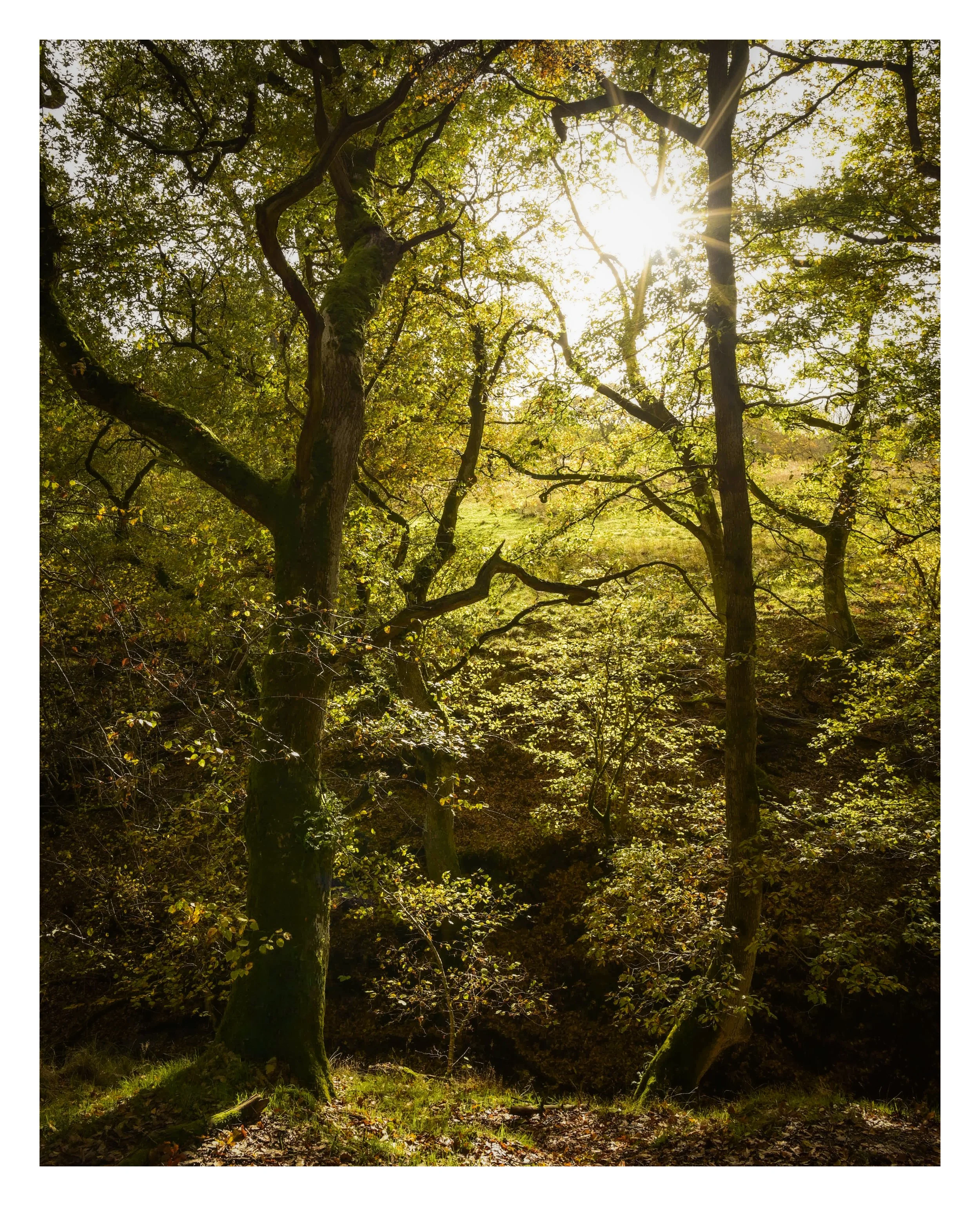 _DSC5758 (1).jpg