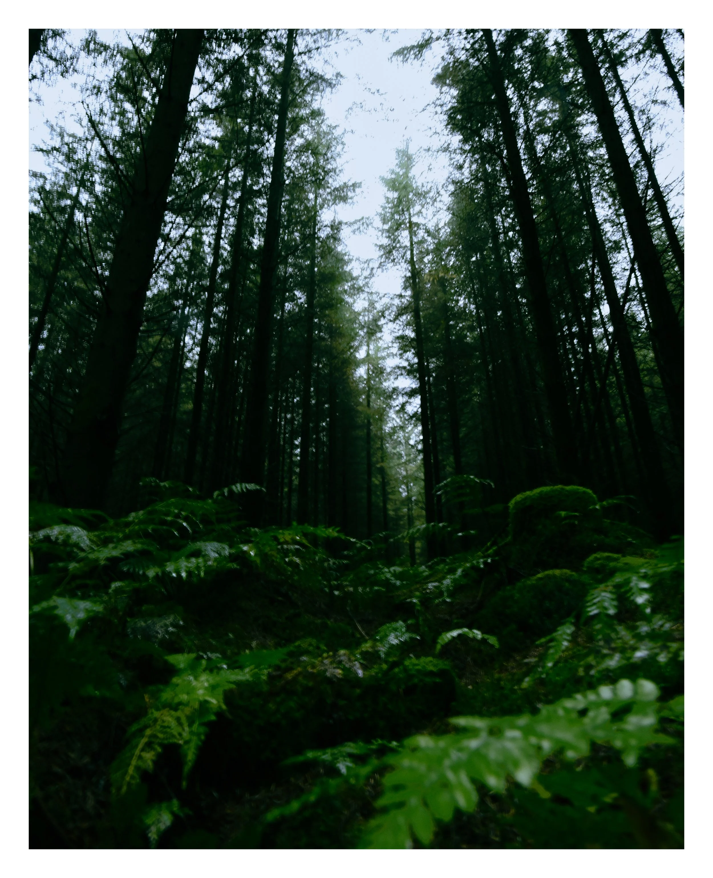 _DSC5723 (1).jpg